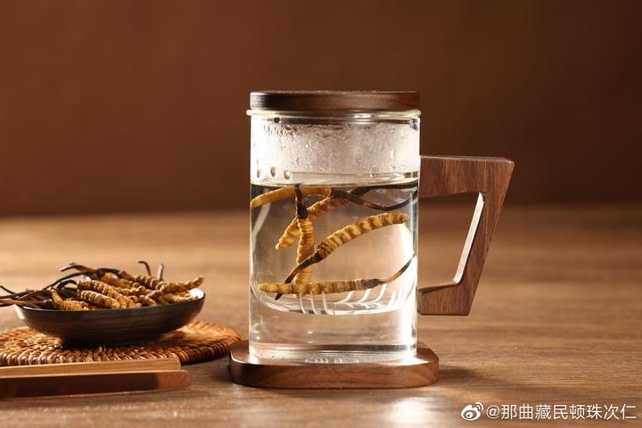 冬虫夏草滋补养生食谱，美味与健康的完美结合